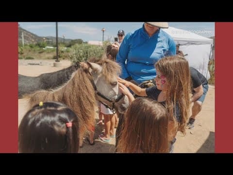 Gather & Grow: A Mommy & Me Market