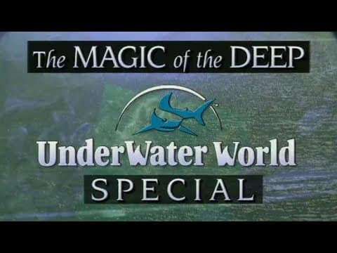 The Magic of the Deep (1996) | From the Archives