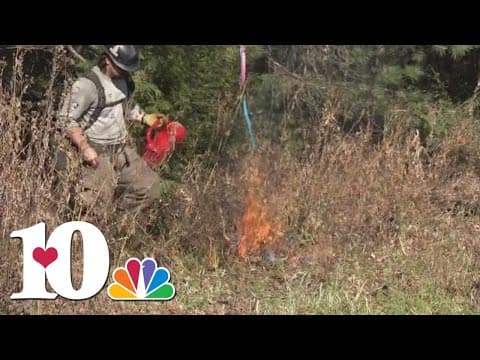 Prescribed burns planned for Cades Cove, if conditions allow