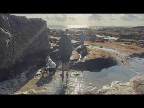 Tidepooling tips | Explore nature’s hidden wonders
