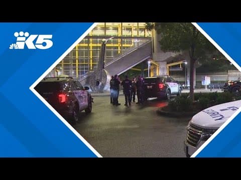 One person stabbed at Tukwila light rail station