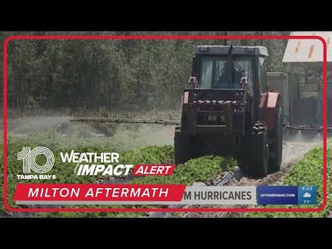 Florida farmers take huge hit from hurricanes Helene and Milton