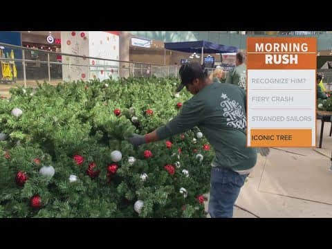 Christmas tree goes up at Galleria Dallas