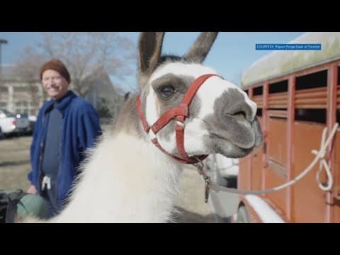 Wilderness Wildlife Week returns in Pigeon Forge