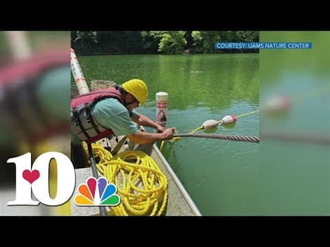 Ijams puts new safety buoys, float lines in Mead's Quarry Lake