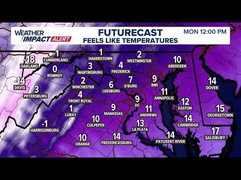 DMV Morning Forecast for Jan. 20, 2025 | Bitterly cold on Monday