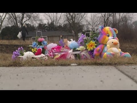 Volunteers clean up Plainfield crash site where 2-month-old was killed
