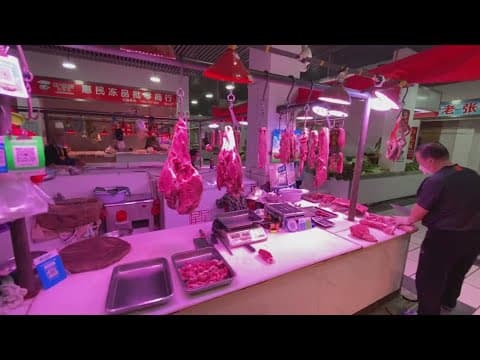 New analysis helping narrow down what animals spread COVID-19 to people