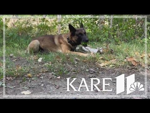 DNR K9 teams train up for hunting season