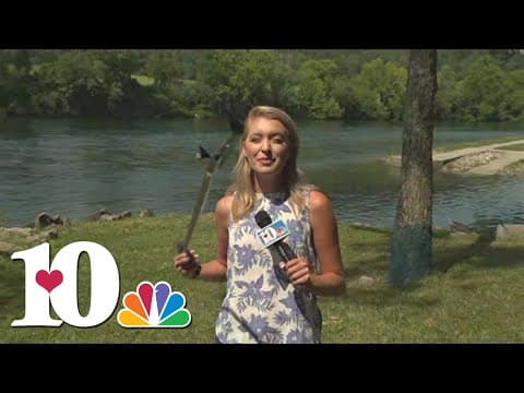 Clinch River to host river cleanup event this weekend