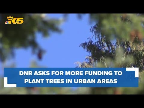 Lands commissioner wants to expand ‘urban forestry’ grants