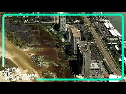 Hurricane Idalia aftermath: Clearwater Beach