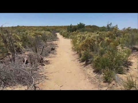 Cal Fire warns hikers of dangers on trails after recent deaths, more than a dozen rescues this year