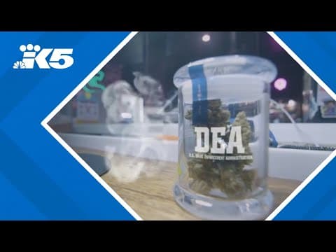 Mixed feelings define local cannabis industry's views of possible reclassification