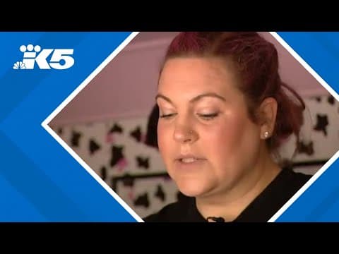 Permit backlog stalls Snohomish County food trucks