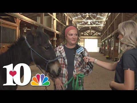 Horse Haven of Tennessee hosting its fifth annual fall festival