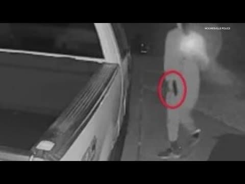 Thieves caught on camera stealing guns from cars