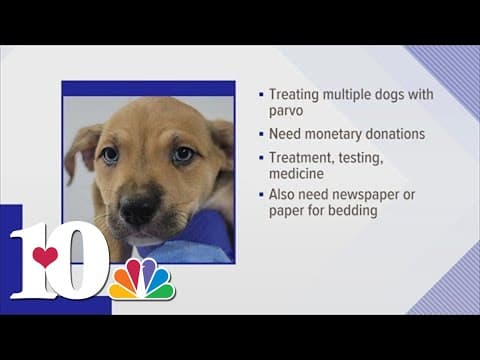 Morristown Humane Society needs donations