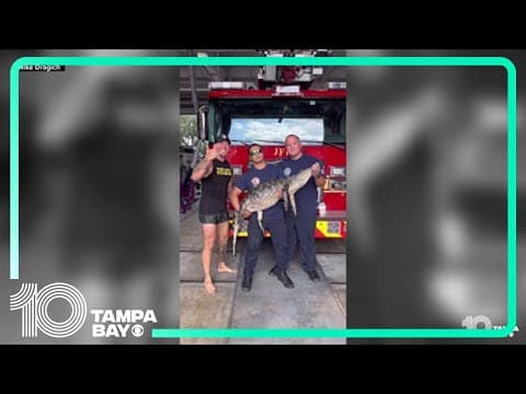 Florida man wrangles alligator loose in fire station
