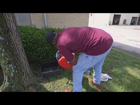 Four West Nile deaths in North Texas: How Dallas County monitors mosquitoes