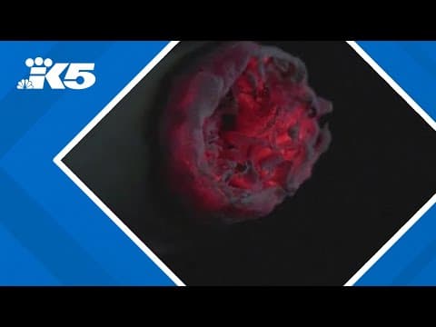 Biden proposes plan to limit nicotine levels in cigarettes