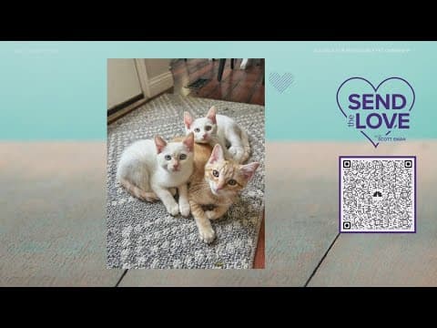 Send the Love: Alliance for Responsible Pet Ownership