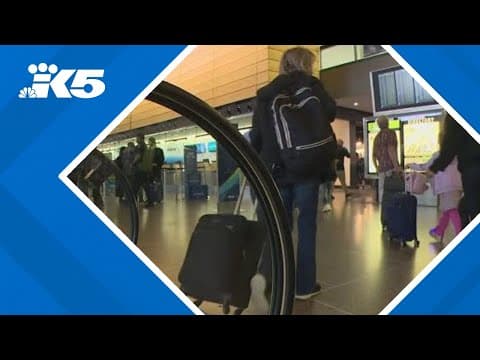 Travelers asked to arrive early for Thanksgiving flights at Seattle-Tacoma International Airport