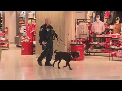 Need for cannabis-trained canines is growing