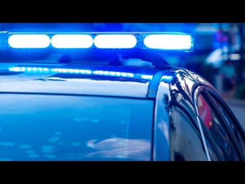 Morristown family faces charges after business damaged by gunfire