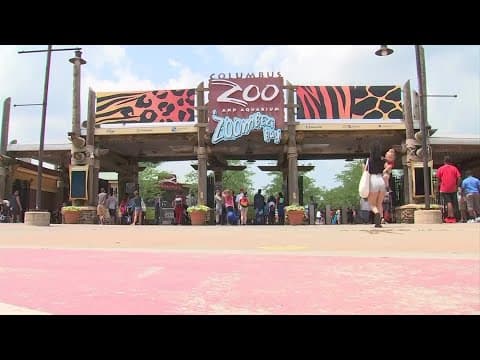 Columbus Zoo CEO to speak after loss of accreditation