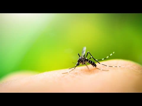 Indiana's first human case of West Nile Virus in 2025 reported in Vanderburgh County