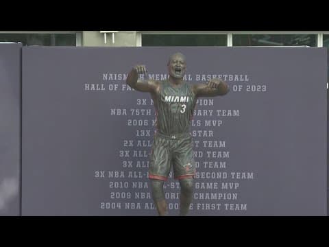 Miami Heat honors D Wade with a statue, and it looks... interesting
