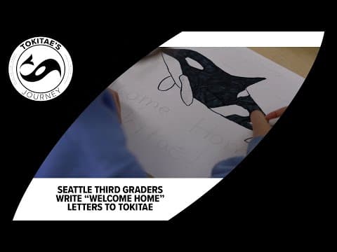 'Welcome home Tokitae': Seattle third graders eagerly await return of famous orca
