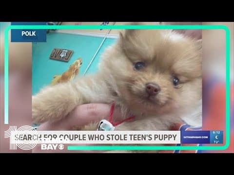 2 people accused of taking puppy out of 15-year-old girl's hands