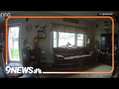 Earthquake rattles cities in the Northeast