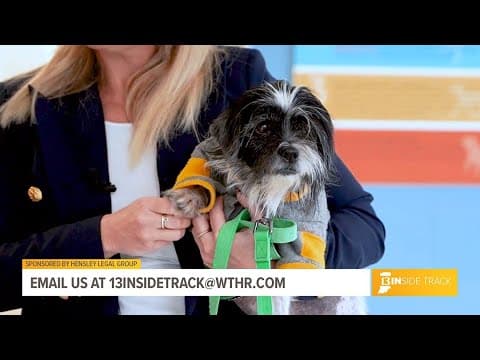 Clear the Shelters: Hensley Legal Group promotes pet adoptions