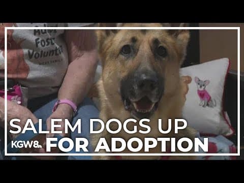 Marion County dog shelter holds 1st adoption since pandemic