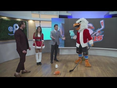 San Diego Gulls holding Winter Wonderland Night on Dec. 17