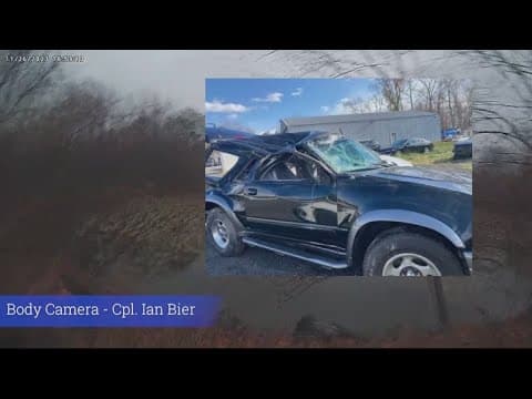 VIDEO: Man and 2 dogs pulled from car sinking in lake after crash