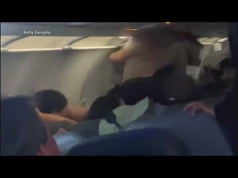 Fight breaks out on Frontier flight to Miami, video shows