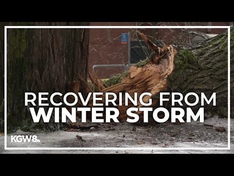 Portland grant program to help small businesses recover from ice storm