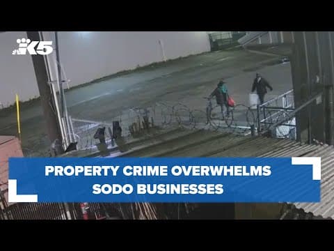 Property crime overwhelms SODO businesses