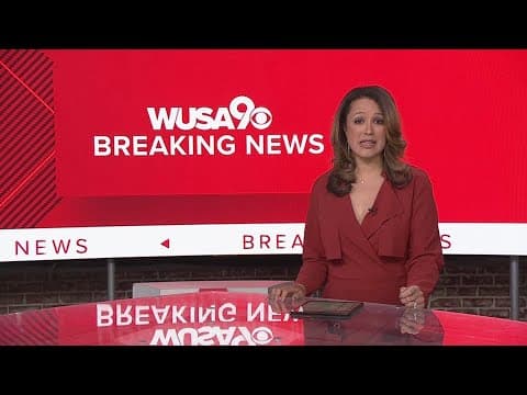 University of Virginia administrators vote to scrap DEI programs