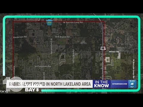 Rabies alert issued for part of Polk County after raccoon tests positive