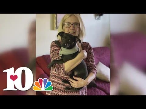 25 Days of Giving: Knox PAWS