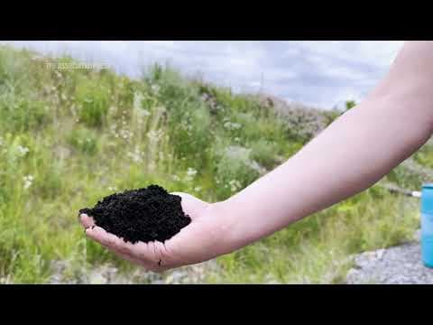 Demand for rare elements used in clean energy could help clean up abandoned coal mines in Appalachia