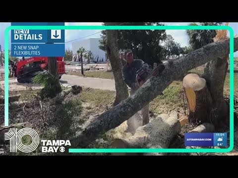 Pinellas County homeowners, renters impacted by Hurricane Idalia eligible for FEMA assistance