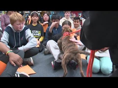Columbus Crew helps bring emotional support dogs to middle school students to help ease stress
