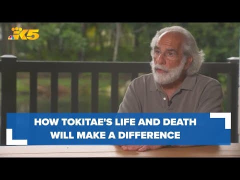 Friends of Toki co-founder reflects on Tokitae's life, death and the difference made for captive ani