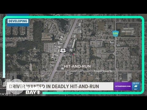 Police looking for driver behind fatal Pasco County hit and run